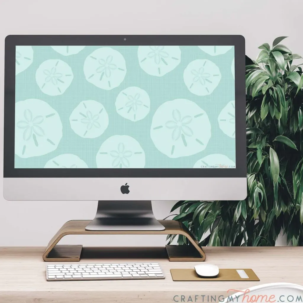 iMac computer with the summer digital wallpaper on the screen sitting on a desk with a plant in the background. 