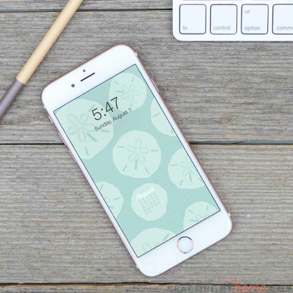 Smartphone with the sand dollar digital design on the home screen as the free digital background for August. 