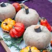 Three rustic pumpkins made from dollar store pumpkins on a tray for a centerpiece.