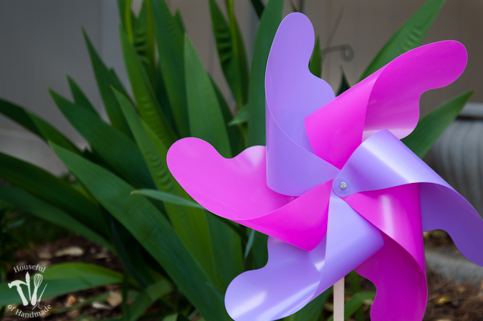 pink and purple pinwheel in garden in front of green plant