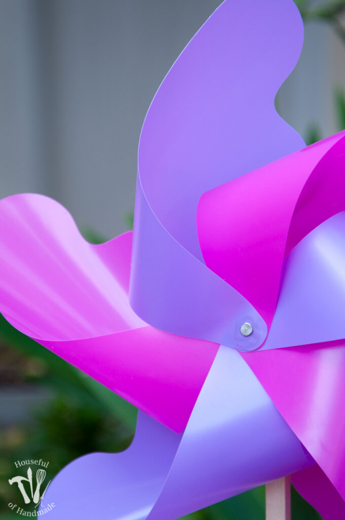 close up of pink and purple pinwheel