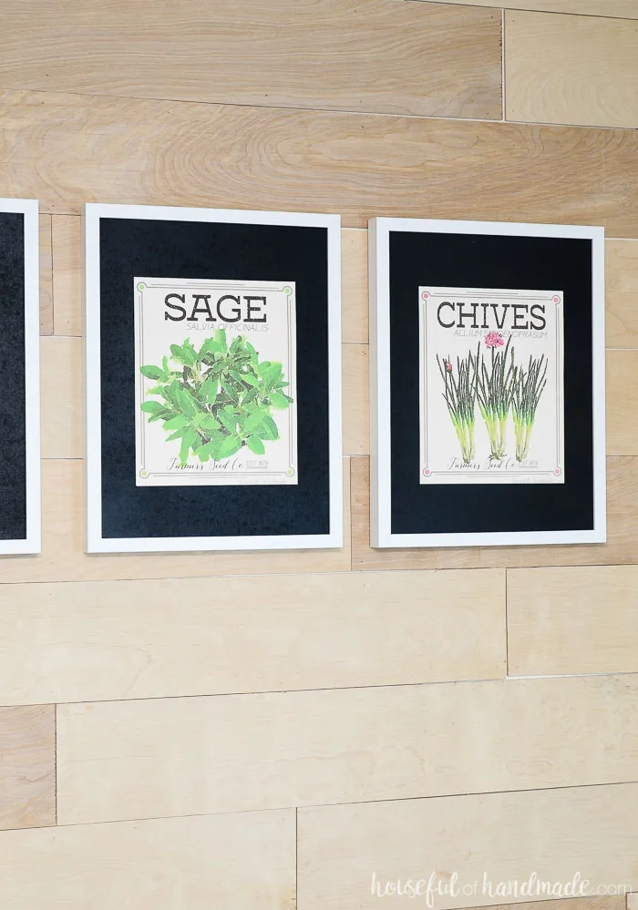 sage and chives vintage herb prints on wall