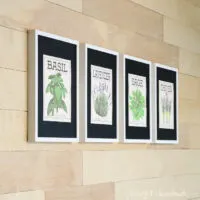 Four vintage inspired herb prints made to look like vintage seed packets in frames.