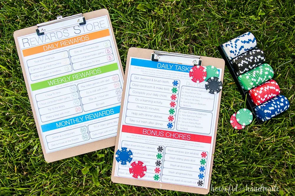 set of 2 chore charts for kids 