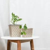 Paper farmhouse flower pots holding plants with cheap planting containers inside them.