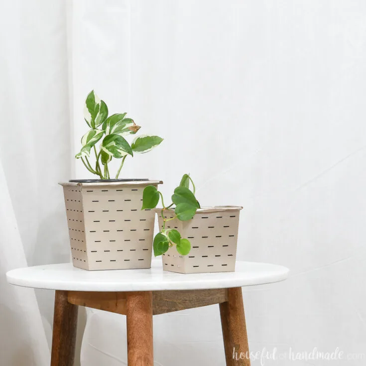 Paper farmhouse flower pots holding plants with cheap planting containers inside them.