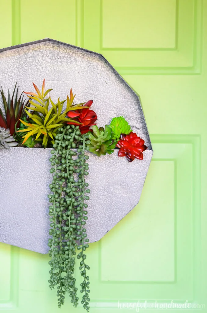 Succulent wall planter hanging on green painted door.