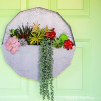 paper wall planter with succulents on green door