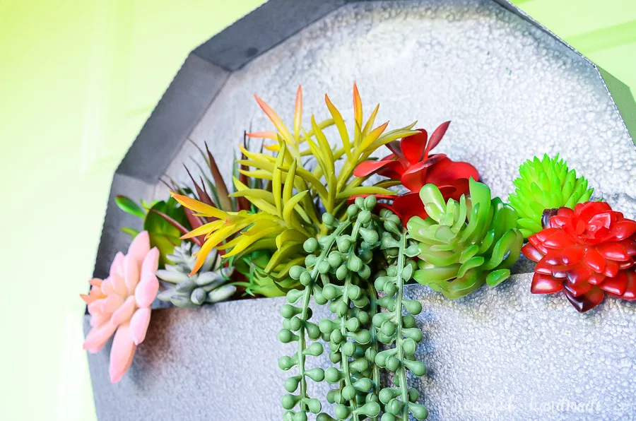 paper wall planter with close up of succulents on green door