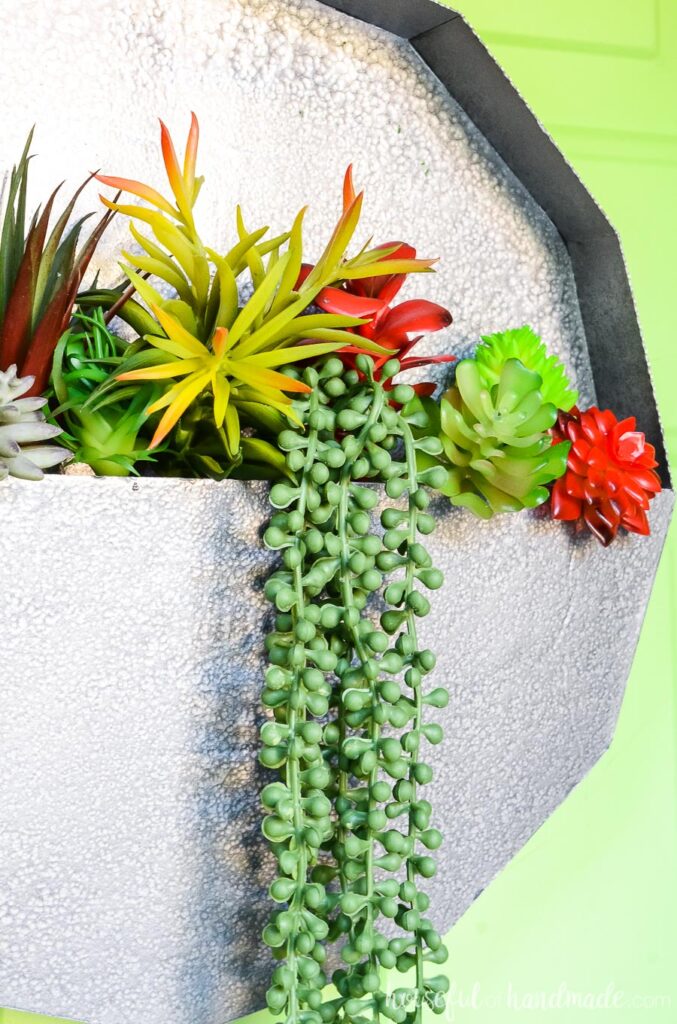paper wall planter with succulents on green door