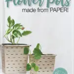 Picture of farmhouse flower pots with text overlay.