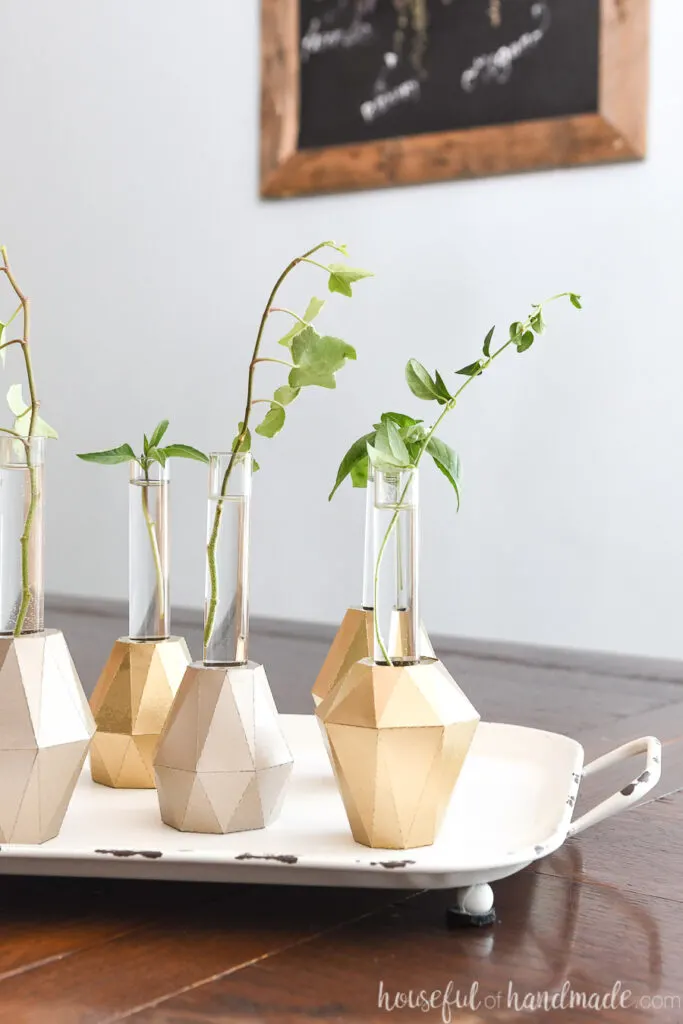 Dining room table with tray holding test tube bud vases with plant clipping in them.