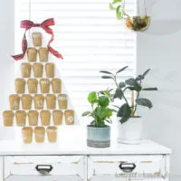 Advent Calendar in the shape of a tree on a credenza next to house plants.