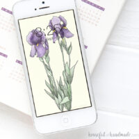 Two hand-drawn iris flowers on a digital iPhone wallpaper.