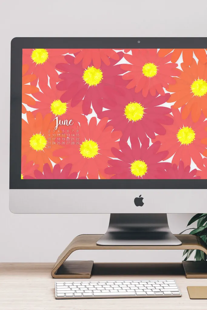 iMac computer with pink and orange daisy digital wallpaper with a calendar on the desktop. 
