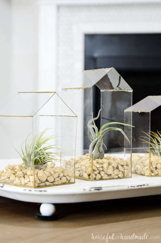 Clear house shaped air plants holder craft with gold rocks in the base. 