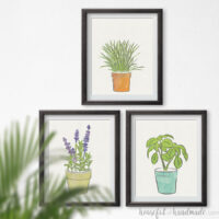 Three picture frames on a wall with herb art prints in them.
