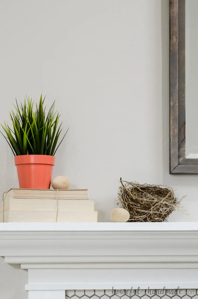 plant in on on books with nest on spring mantel