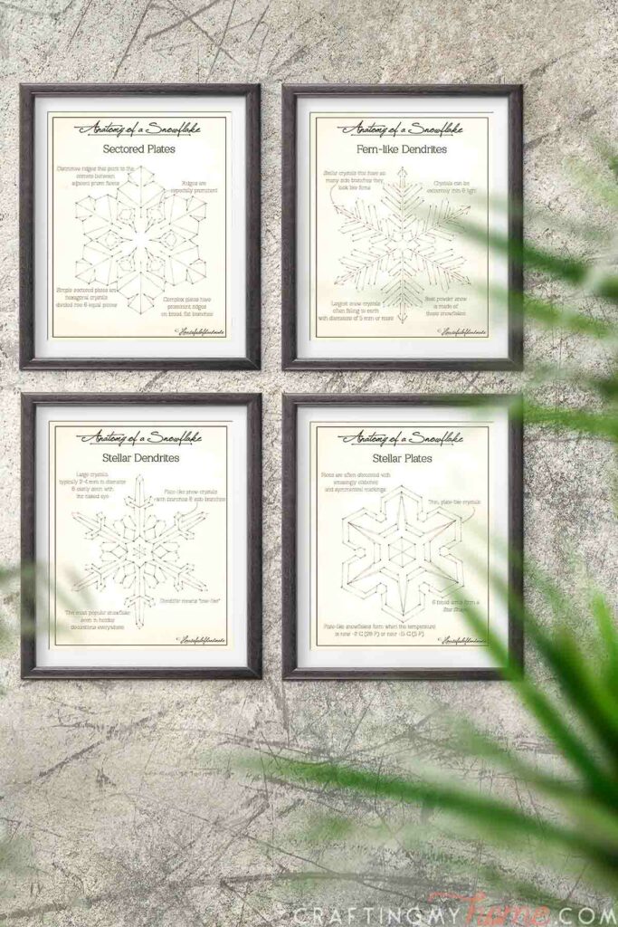 Four pieces of snowflake printable art that look like vintage engineering prints in frames on a wall plant leaves in the foreground. 