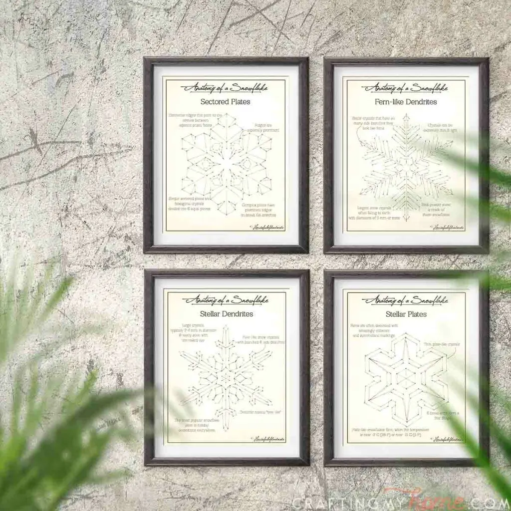 Four art prints in frames of snowflake engineering style drawings.