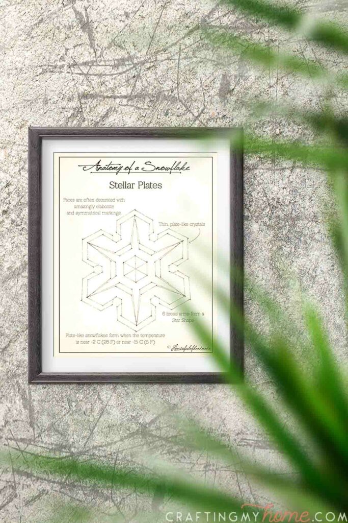 Stellar plates snowflake printable art in a frame on the wall. 