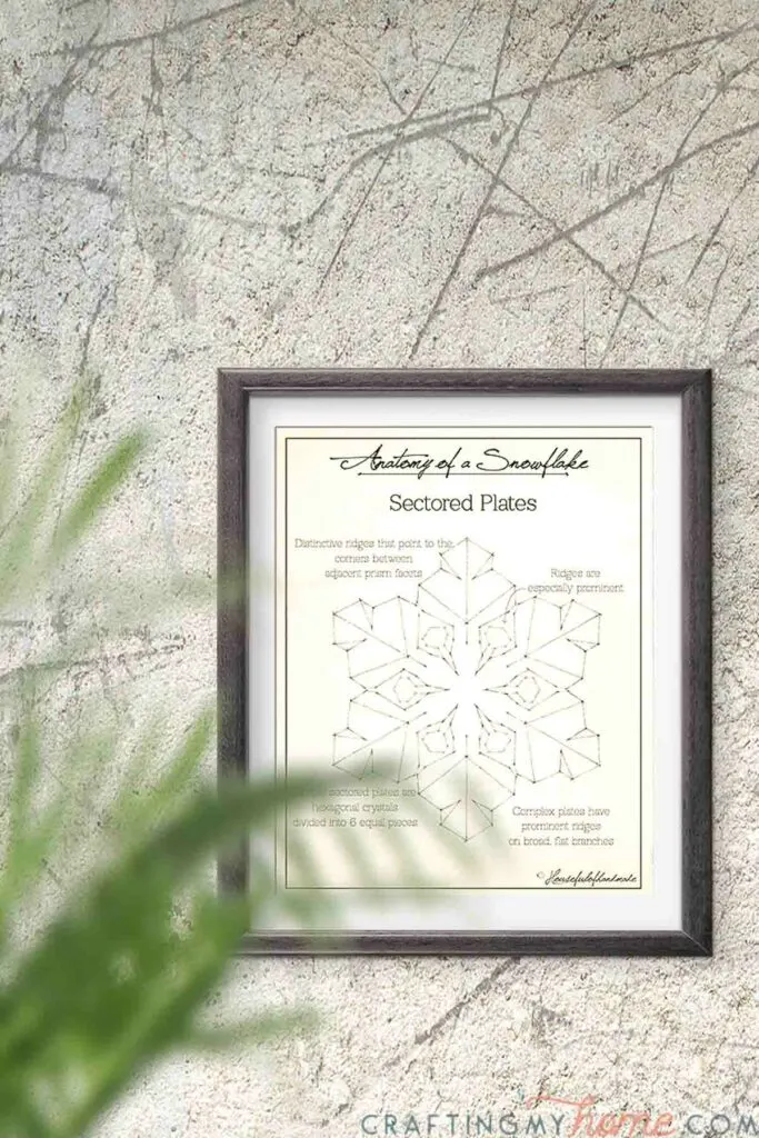 Snowflake art print of a sectored plate snowflake with facts about the snow crystals. 