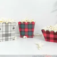 Disposable paper food trays with cozy plaids and buffalo check patterns on them and popcorn inside them.
